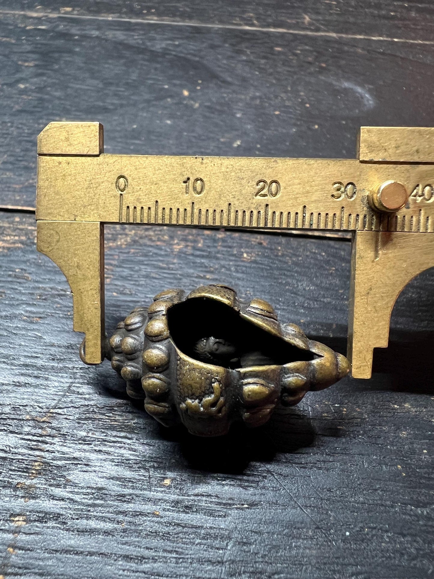 Tibetan Brass Conch Shell Buddha Amulet Pendant – Spiritual Gift