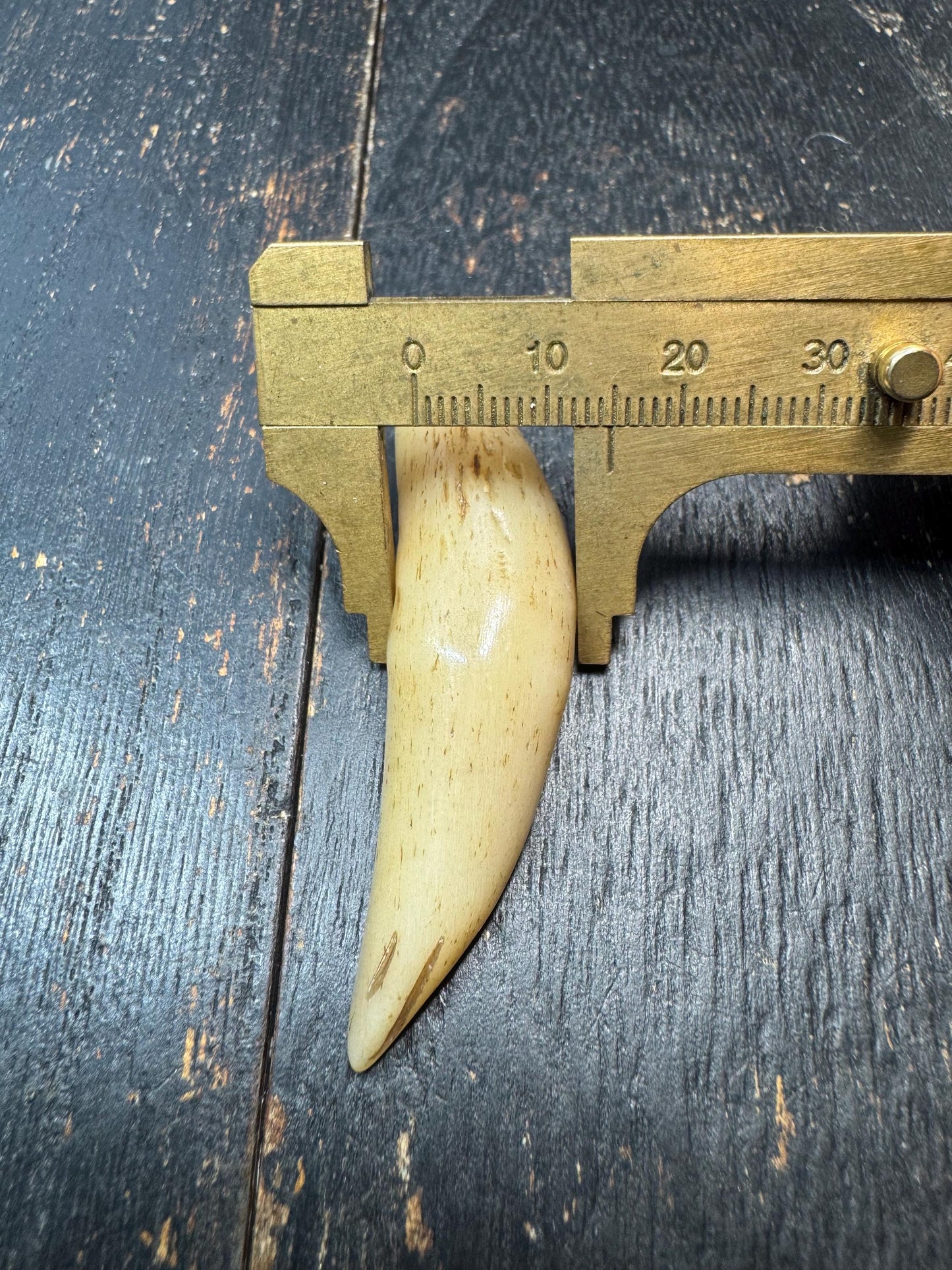 Yak Bone Tooth Pendant – Tibetan Style Talisman Charm, Tribal Fang Amulet, Himalayan Spiritual Necklace Pendant