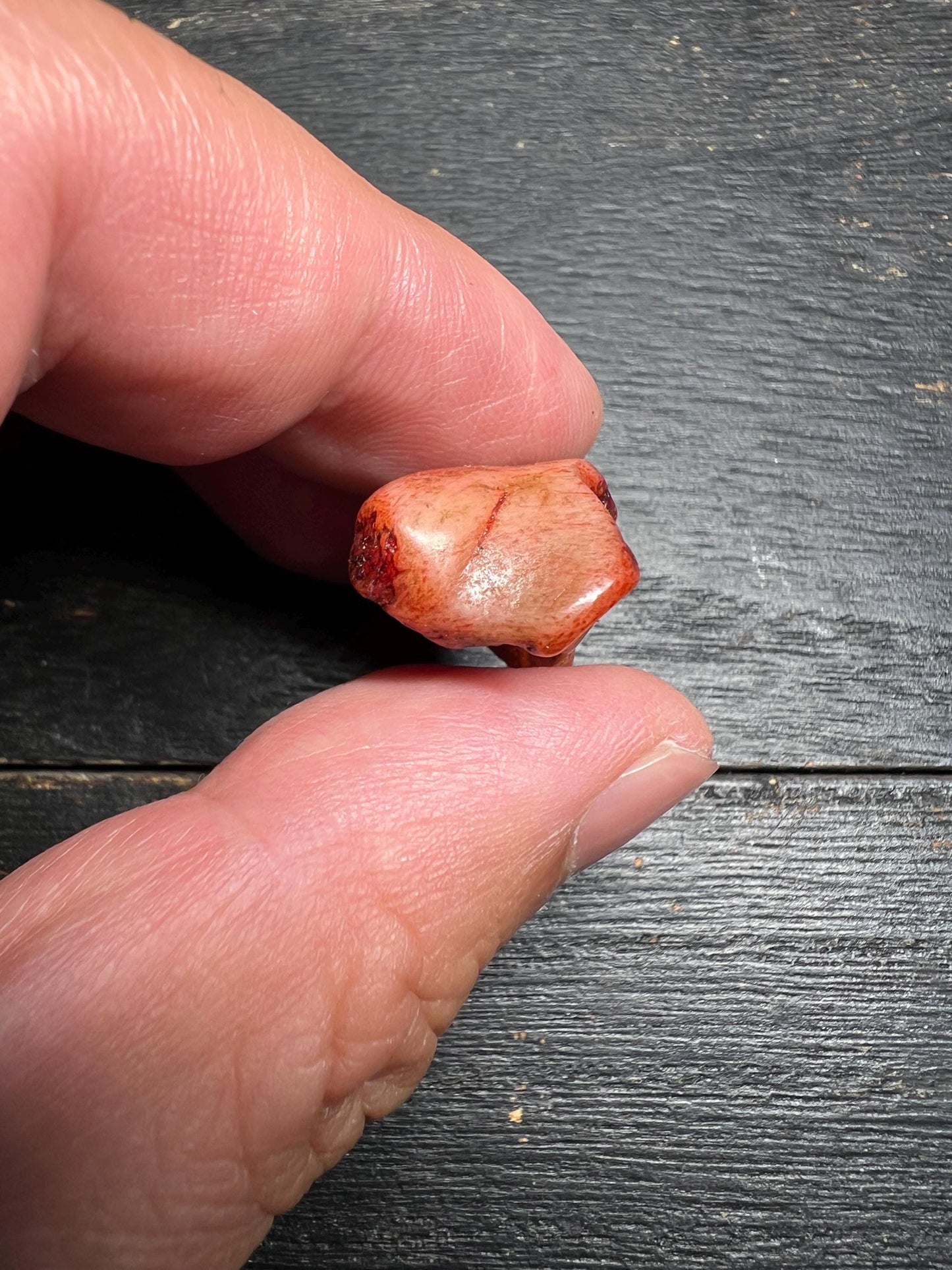 Unique Yak Bone Amulet – Tibetan Carved Pendant for Spiritual Connection and Protection