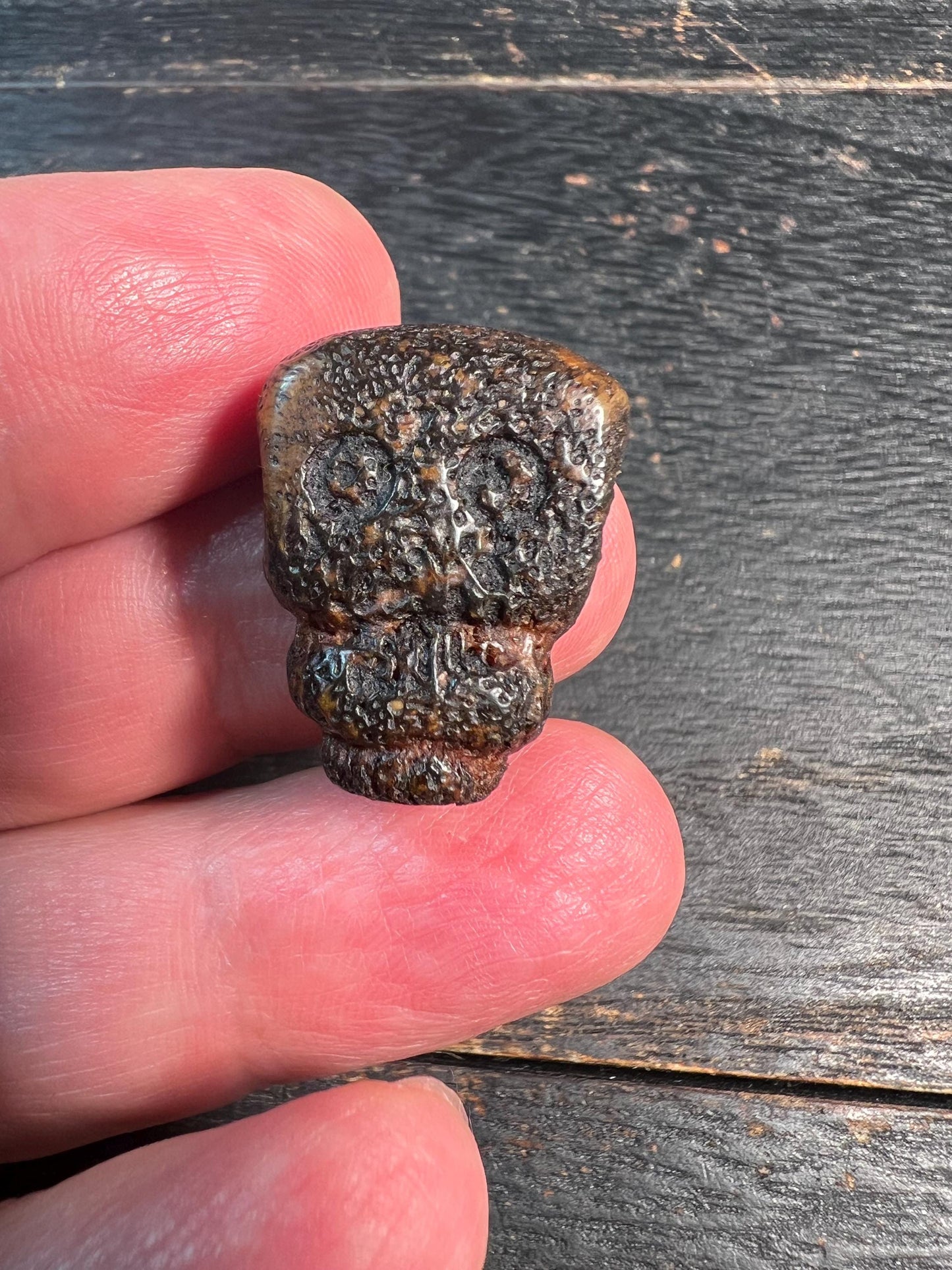 Rare Yak Bone Skull Guru Bead with Mantra Dots | Tibetan Chitipati Guru Bead | Hand-Carved Buddhist Mala Connector