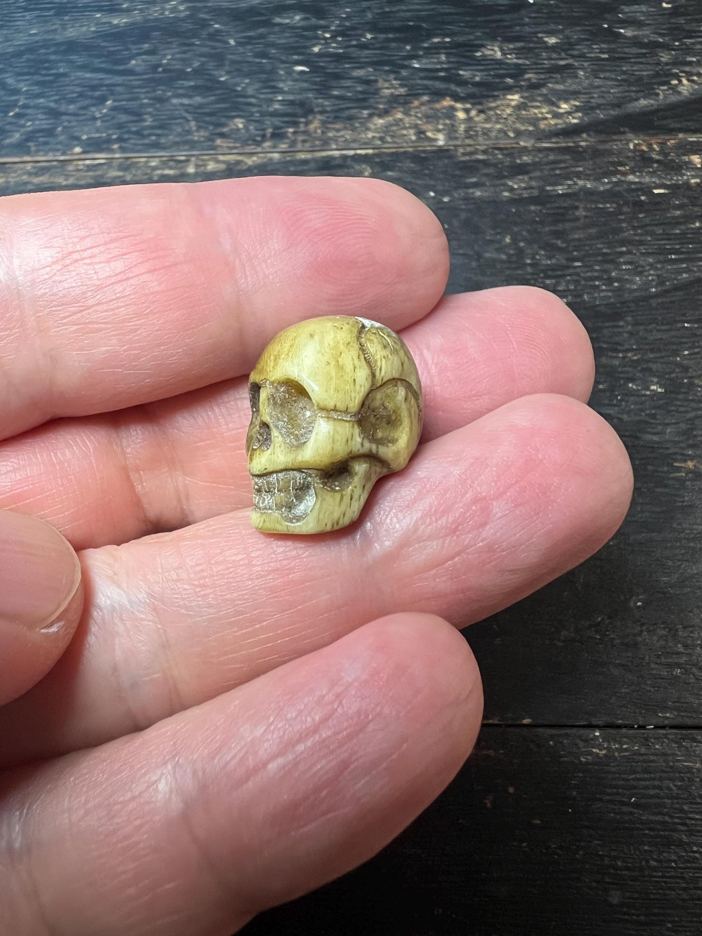 Hand-Carved Yak Bone Citipati Skull Bead | Tibetan Buddhist Charnel Ground Amulet | Impermanence Mala Centerpiece