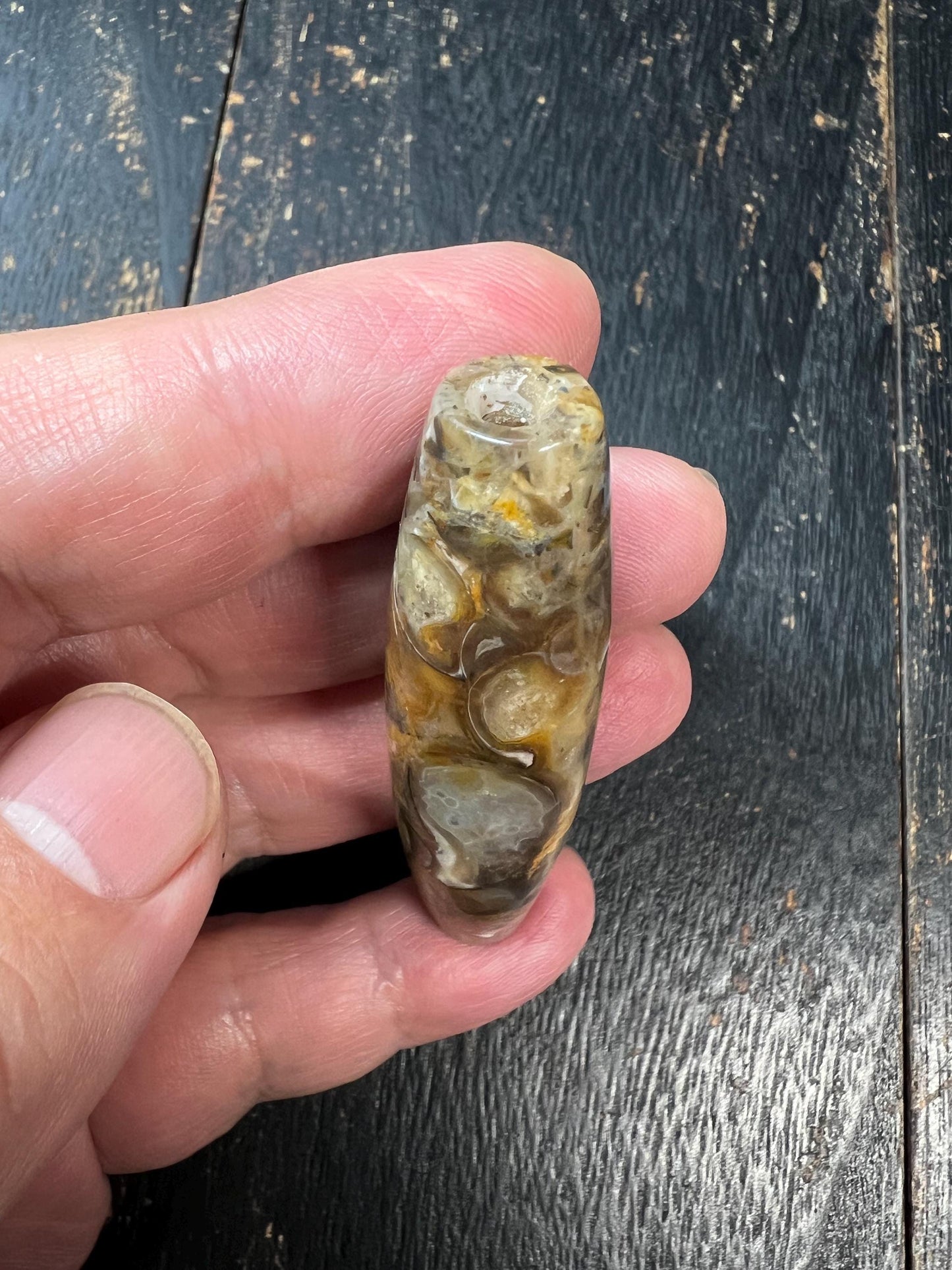 Old Conch Agate dZi Bead | Antique Tibetan Fossilized Agate Prayer Bead | Natural Conch Fossil Inclusion | 61mm Handmade Tibetan Vintage dZi