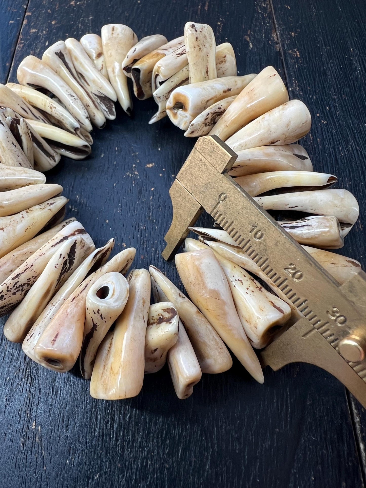 Camel Tooth Mala Counters – Genuine Animal Tooth Spacer Beads, Tribal Amulet, Unique Meditation Accessory