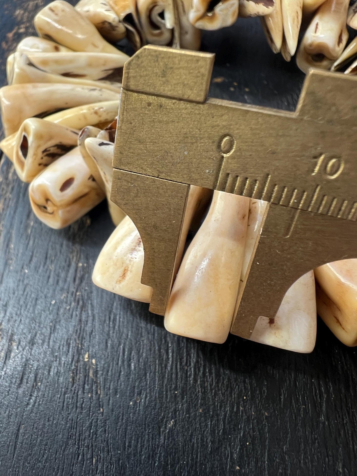 Camel Tooth Mala Counters – Genuine Animal Tooth Spacer Beads, Tribal Amulet, Unique Meditation Accessory