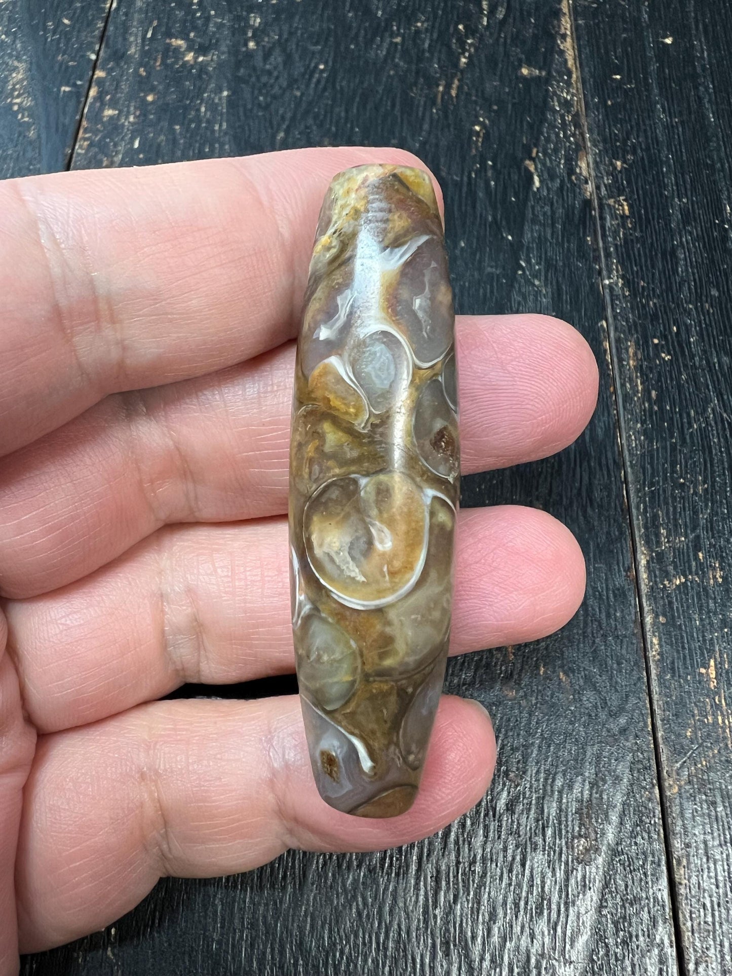Old Conch Agate dZi Bead | Antique Tibetan Fossilized Agate Prayer Bead | Natural Conch Fossil Inclusion | 61mm Handmade Tibetan Vintage dZi