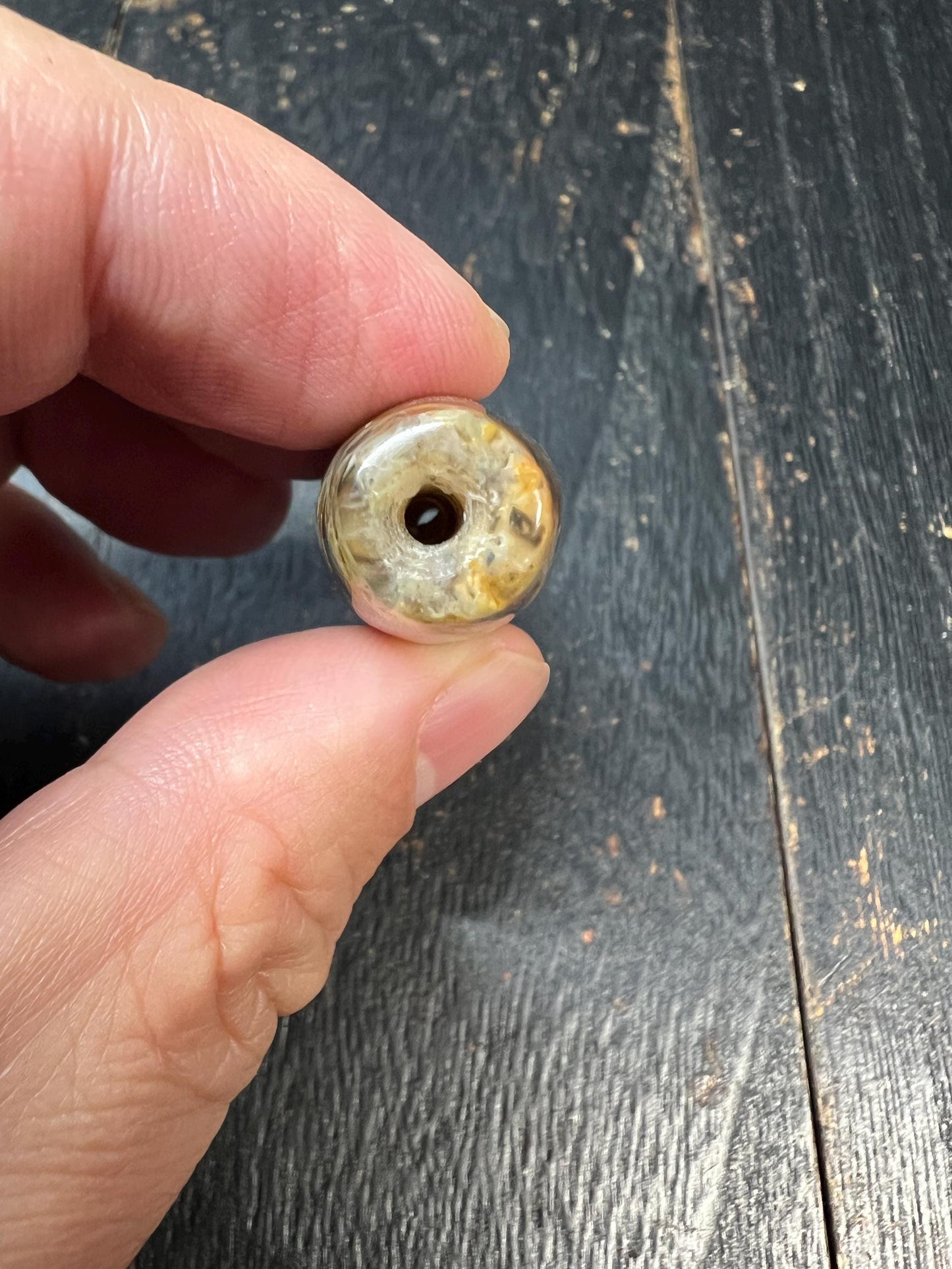 Old Conch Agate dZi Bead | Antique Tibetan Fossilized Agate Prayer Bead | Natural Conch Fossil Inclusion | 61mm Handmade Tibetan Vintage dZi