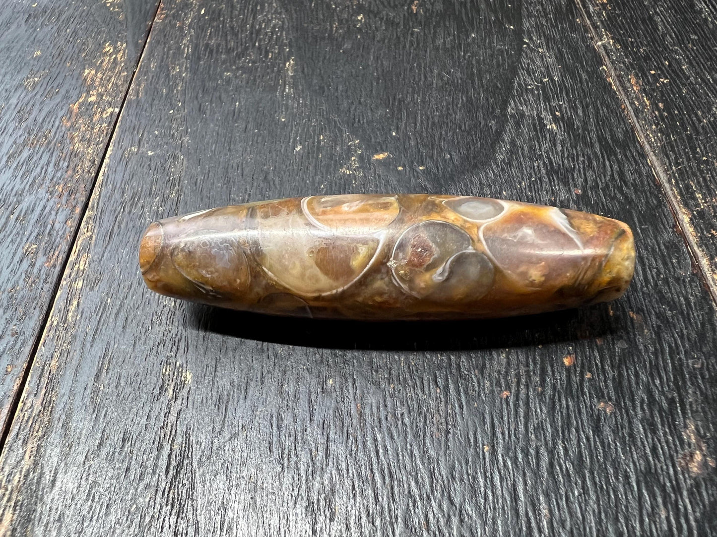 Old Conch Agate dZi Bead | Antique Tibetan Fossilized Agate Prayer Bead | Natural Conch Fossil Inclusion | 61mm Handmade Tibetan Vintage dZi