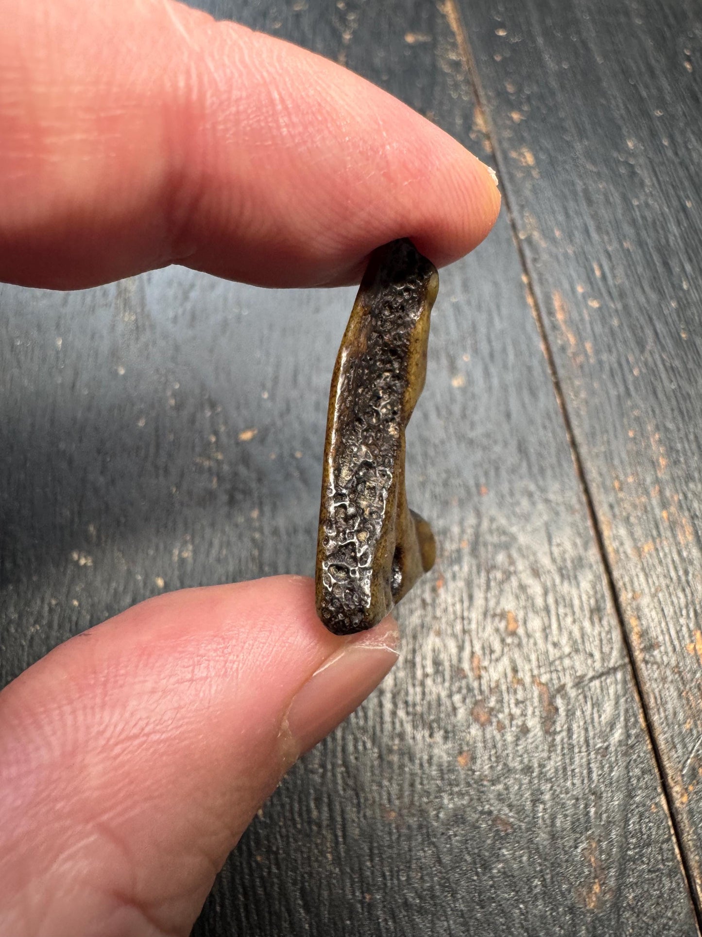 Shamanic Bone Talisman Pendant – Tibetan Amulet for Energy Work and Ritual Use