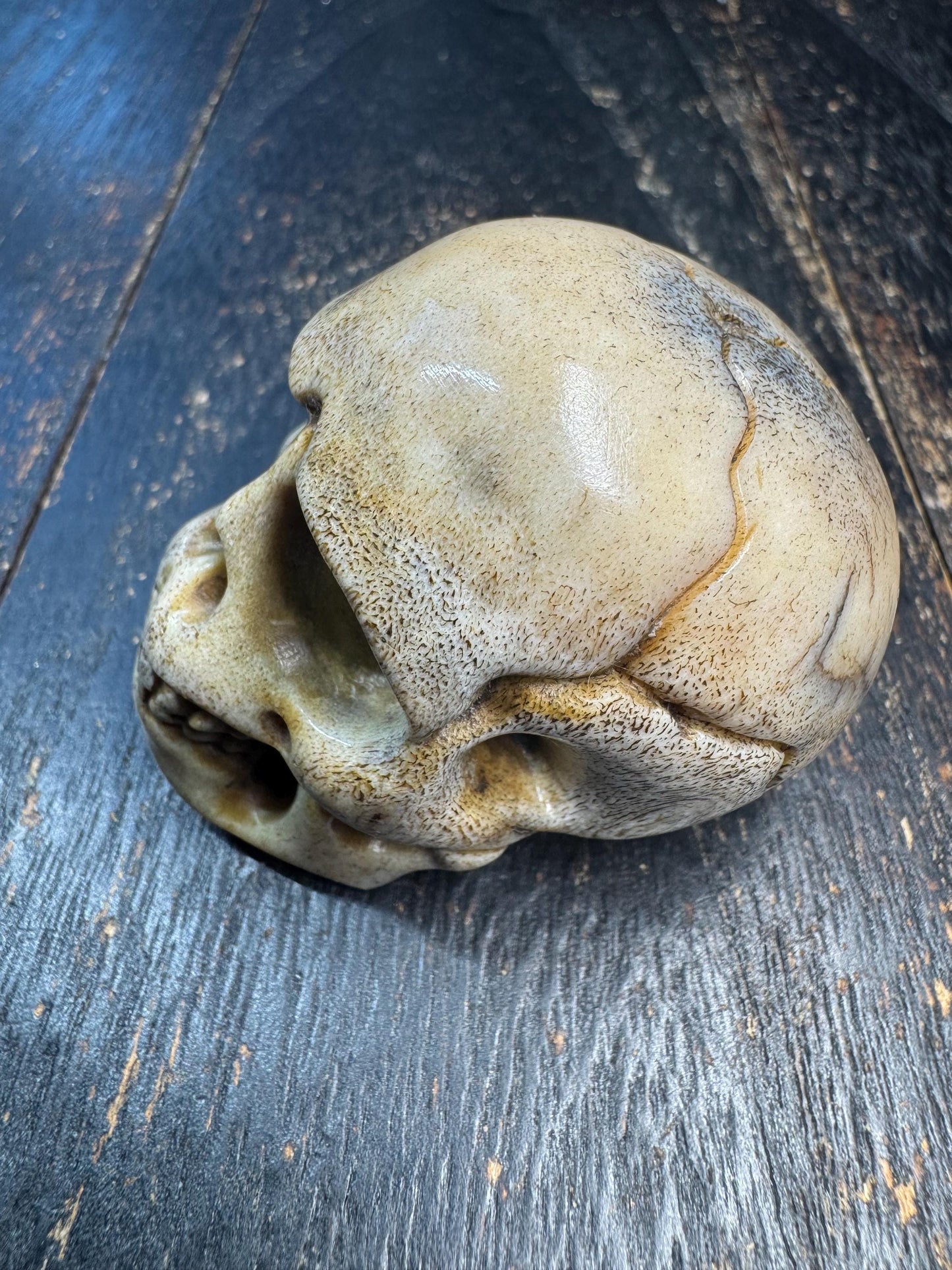 Large Hand Carved Deer Antler Skull Pendant, Tibetan Charnel Ground Style, Tantric Bone Carving, Himalayan Protection Amulet