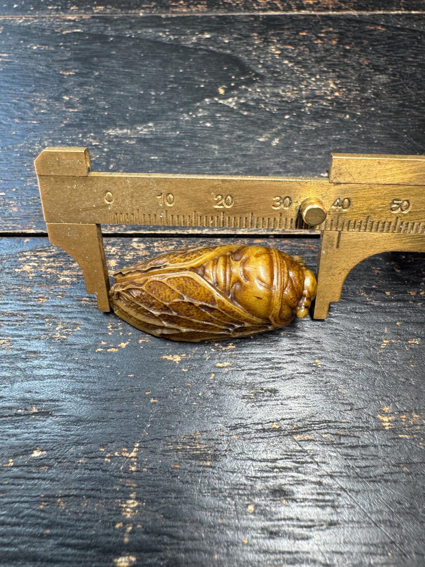Hand Carved Yak Bone Cicada Pendant, Tibetan Style Insect Amulet, Rebirth Symbol Talisman, Unique Boho Spiritual Jewelry