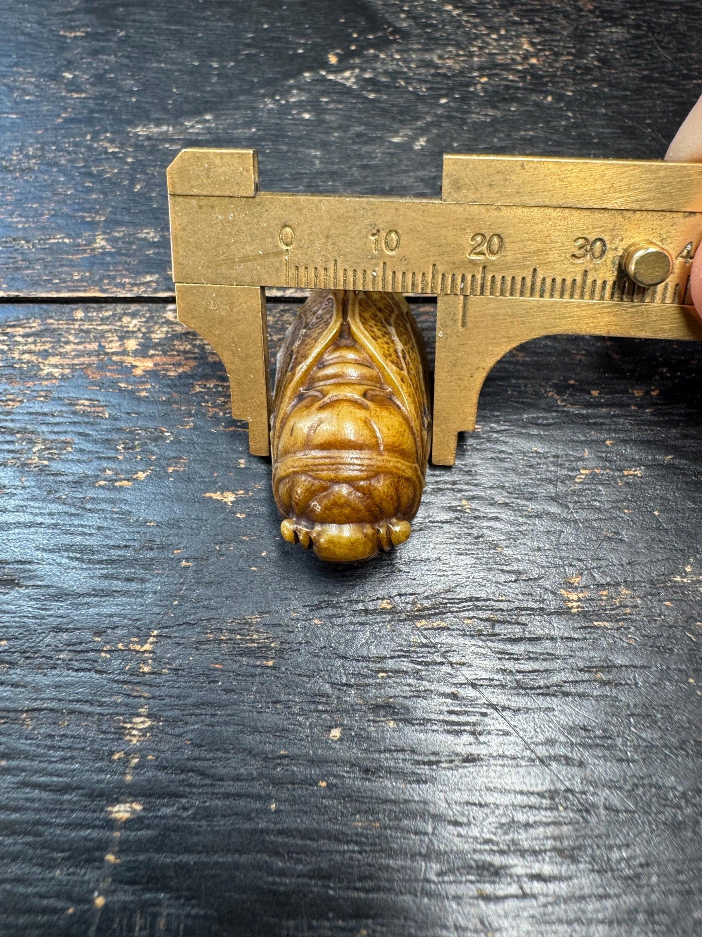 Hand Carved Yak Bone Cicada Pendant, Tibetan Style Insect Amulet, Rebirth Symbol Talisman, Unique Boho Spiritual Jewelry