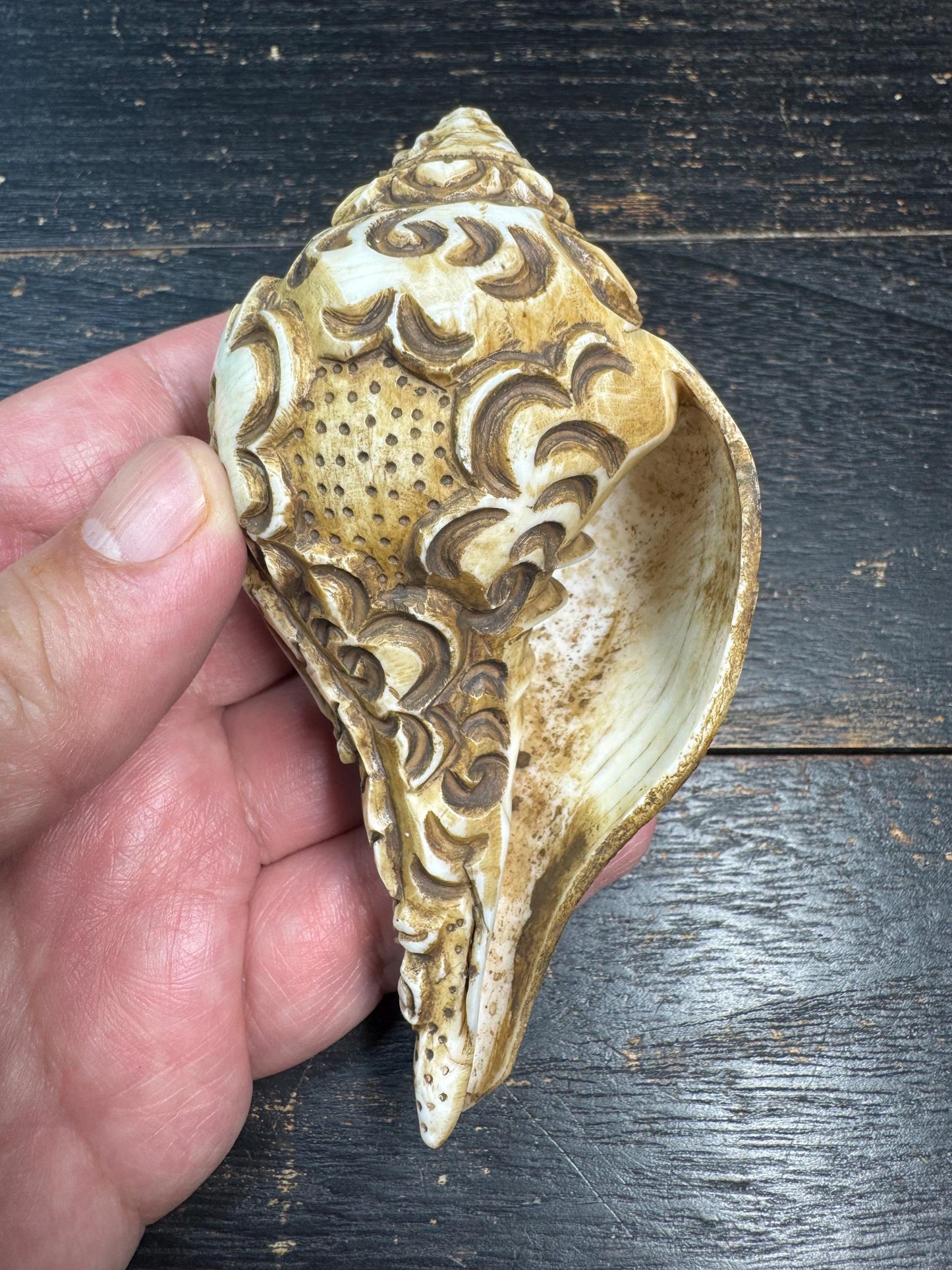 Hand Carved Tibetan Conch Shell Mahakala | Wrathful Deity Sculpture | Himalayan Buddhist Protector | Ritual Altar Decor | Rare Skull Form