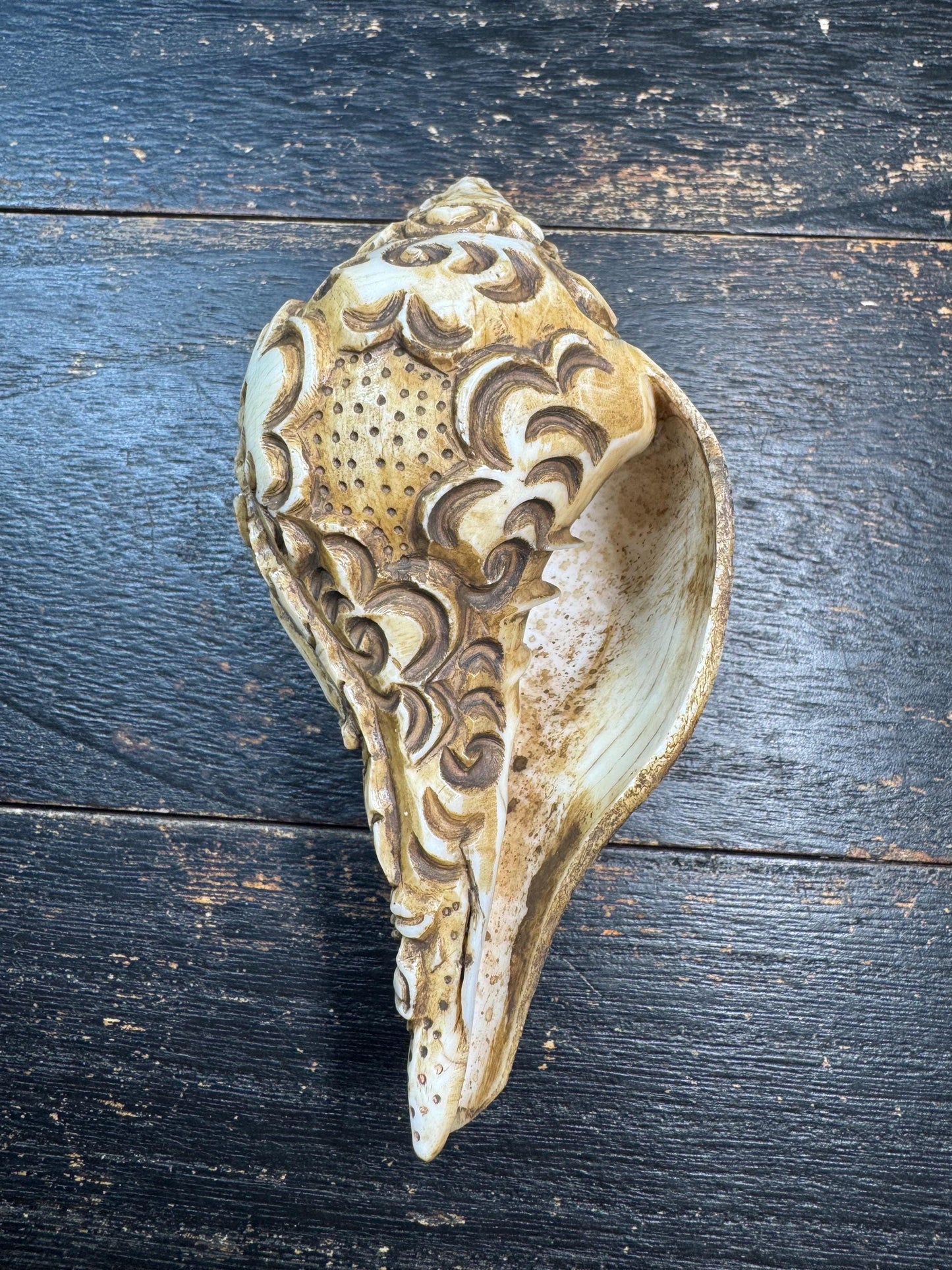 Hand Carved Tibetan Conch Shell Mahakala | Wrathful Deity Sculpture | Himalayan Buddhist Protector | Ritual Altar Decor | Rare Skull Form