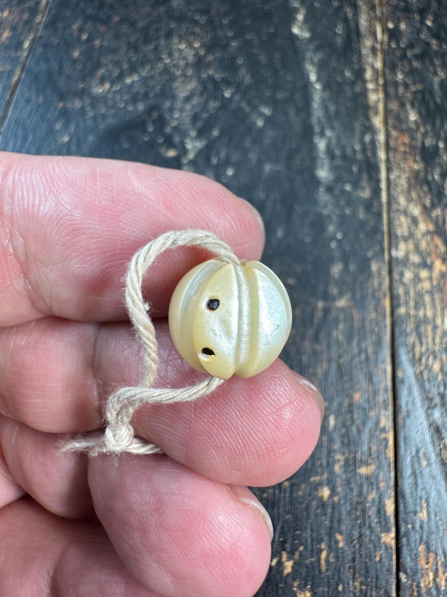 Hand Carved Shell Bead with Mantra Dots, Natural Shell Spacer Bead, Tibetan Inspired Jewelry Bead, Mala Spacer, DIY Bracelet Necklace Bead