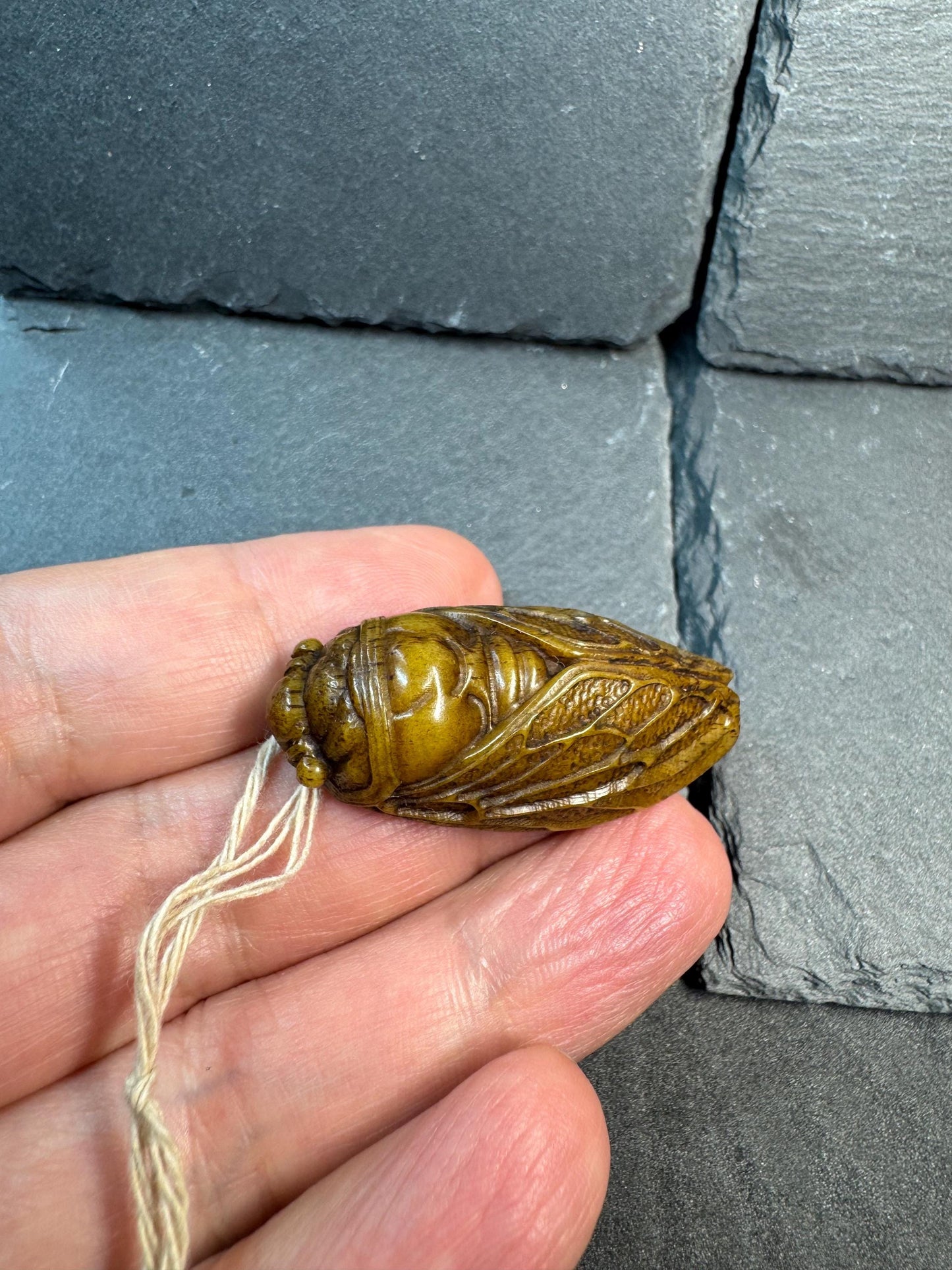 Hand Carved Yak Bone Cicada Pendant, Tibetan Style Insect Amulet, Rebirth Symbol Talisman, Unique Boho Spiritual Jewelry