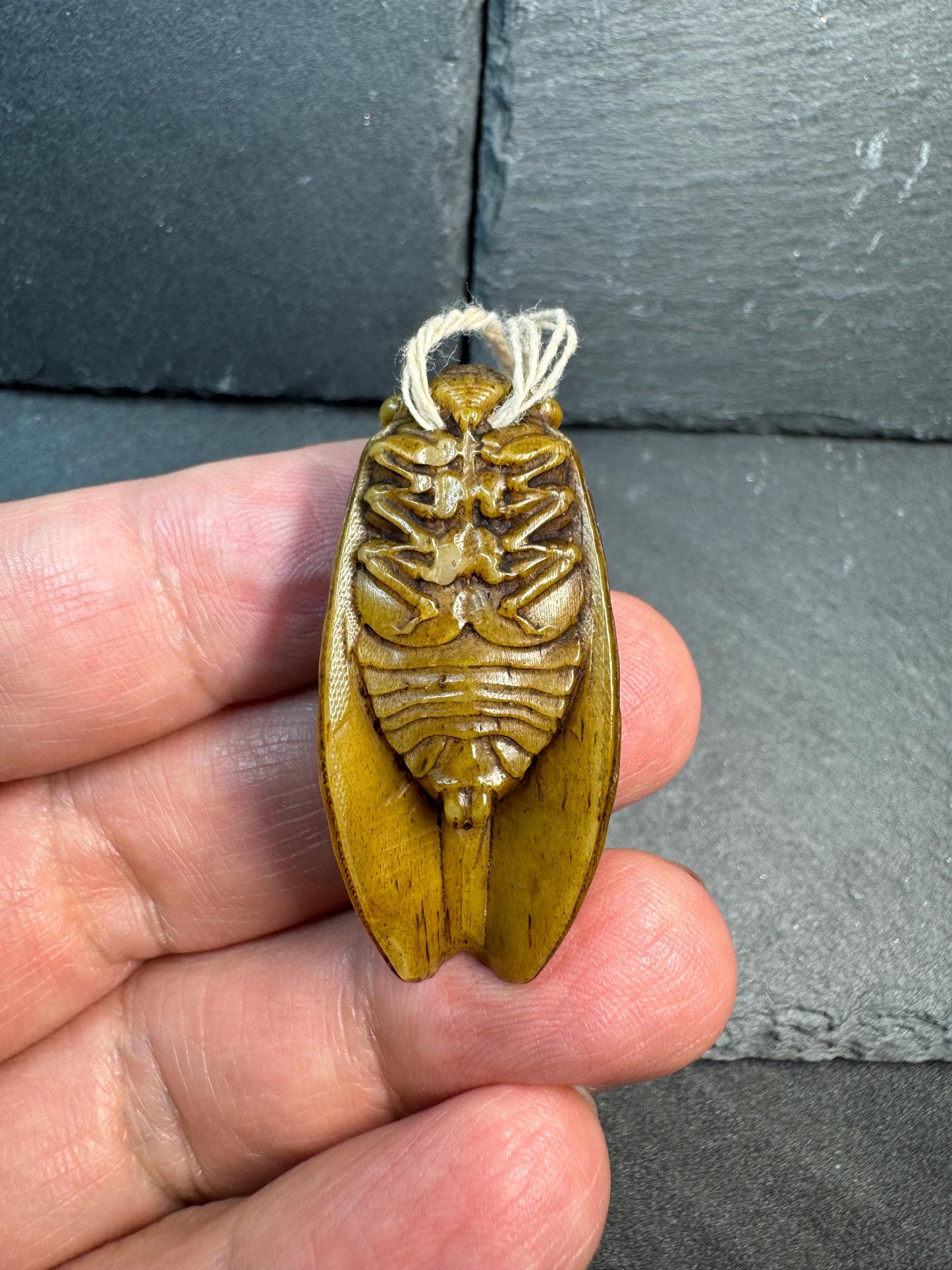 Hand Carved Yak Bone Cicada Pendant, Tibetan Style Insect Amulet, Rebirth Symbol Talisman, Unique Boho Spiritual Jewelry