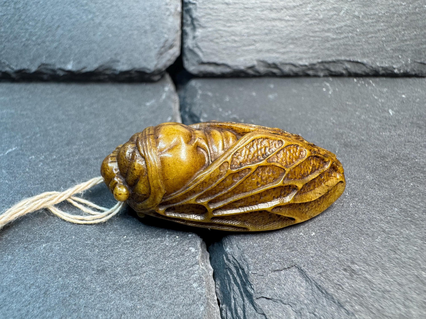 Hand Carved Yak Bone Cicada Pendant, Tibetan Style Insect Amulet, Rebirth Symbol Talisman, Unique Boho Spiritual Jewelry