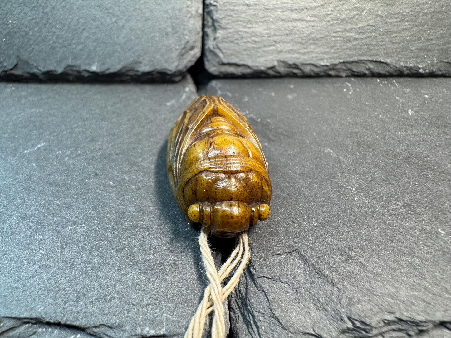 Hand Carved Yak Bone Cicada Pendant, Tibetan Style Insect Amulet, Rebirth Symbol Talisman, Unique Boho Spiritual Jewelry