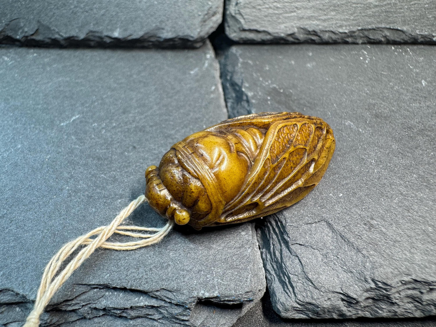 Hand Carved Yak Bone Cicada Pendant, Tibetan Style Insect Amulet, Rebirth Symbol Talisman, Unique Boho Spiritual Jewelry