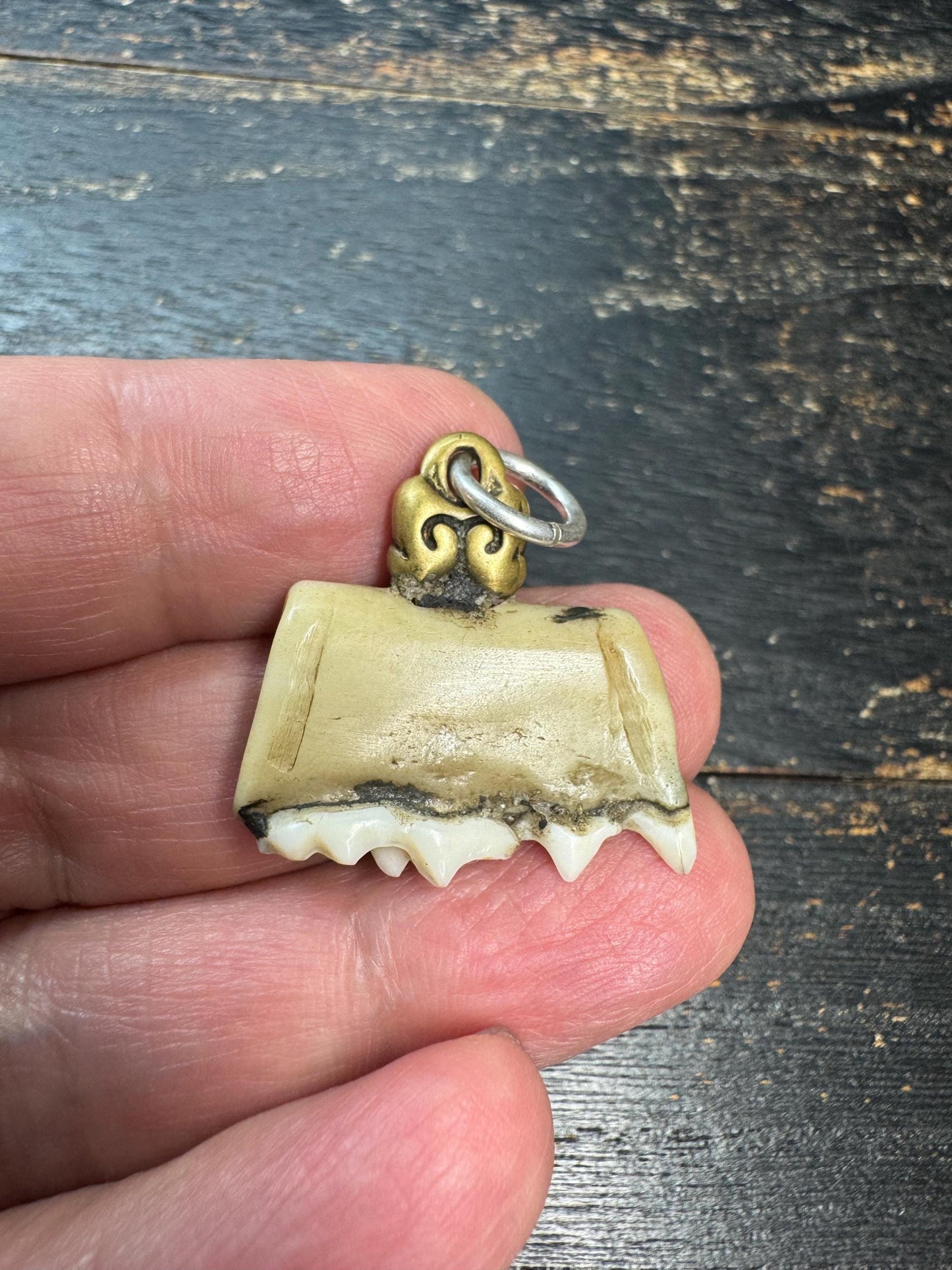 Vintage Himalayan Tooth Pendant, Brass Mounted Natural Tooth Amulet, Tribal Protection Charm, Nepal Folk Art Talisman, Ethnographic Jewelry