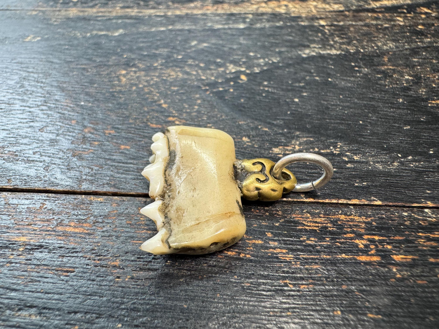 Vintage Himalayan Tooth Pendant, Brass Mounted Natural Tooth Amulet, Tribal Protection Charm, Nepal Folk Art Talisman, Ethnographic Jewelry