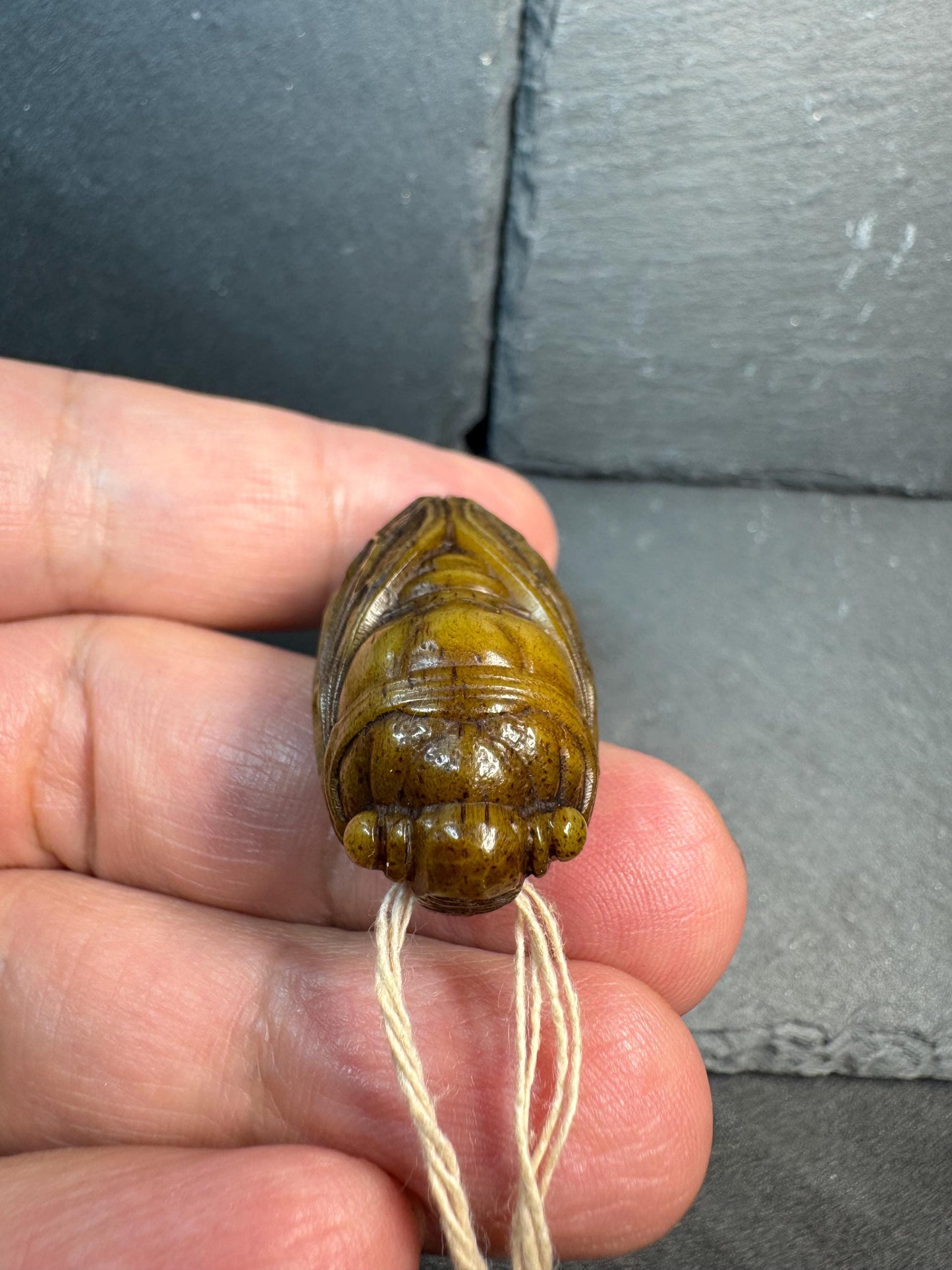 Hand Carved Yak Bone Cicada Pendant, Tibetan Style Insect Amulet, Rebirth Symbol Talisman, Unique Boho Spiritual Jewelry