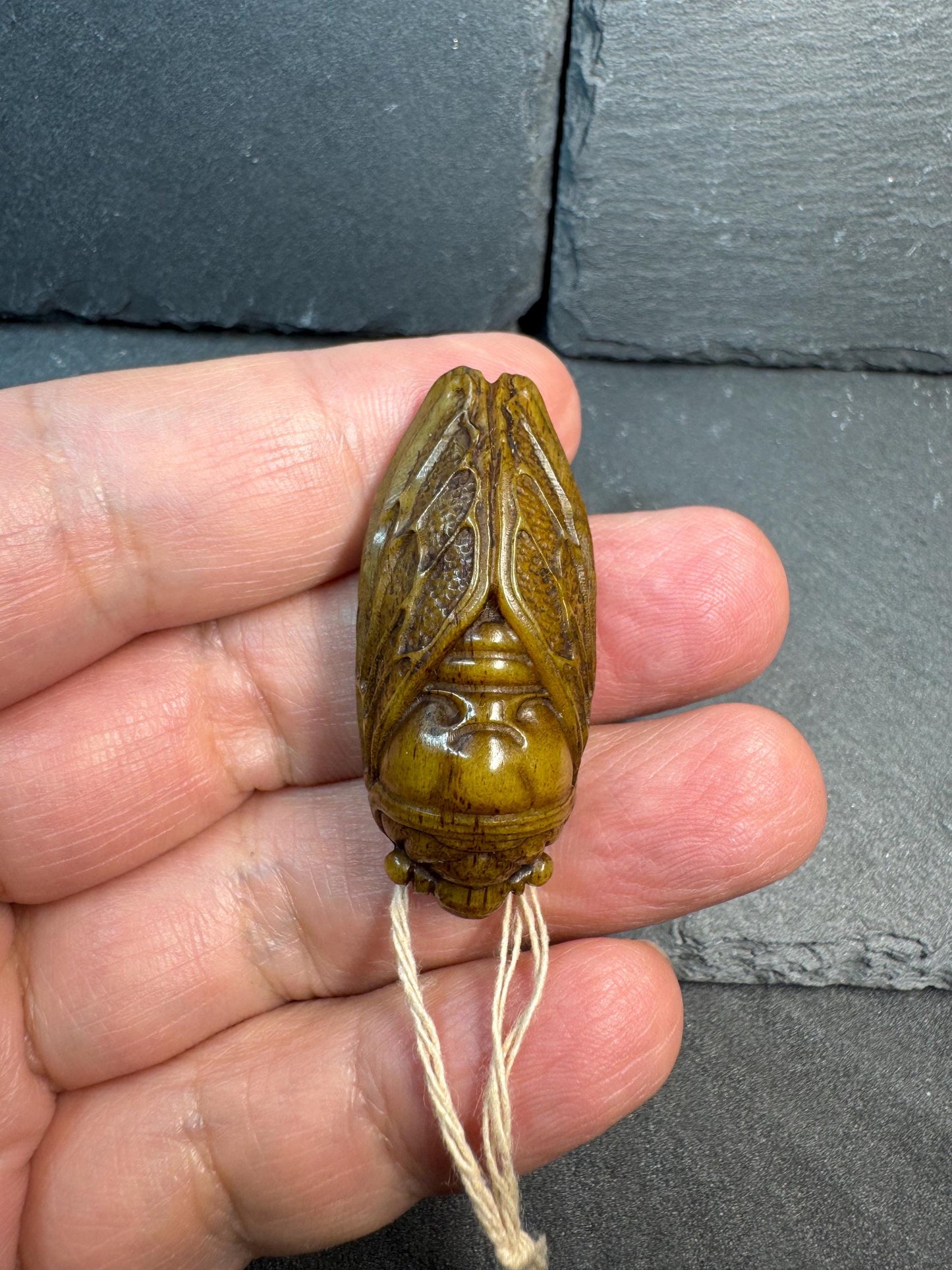 Hand Carved Yak Bone Cicada Pendant, Tibetan Style Insect Amulet, Rebirth Symbol Talisman, Unique Boho Spiritual Jewelry