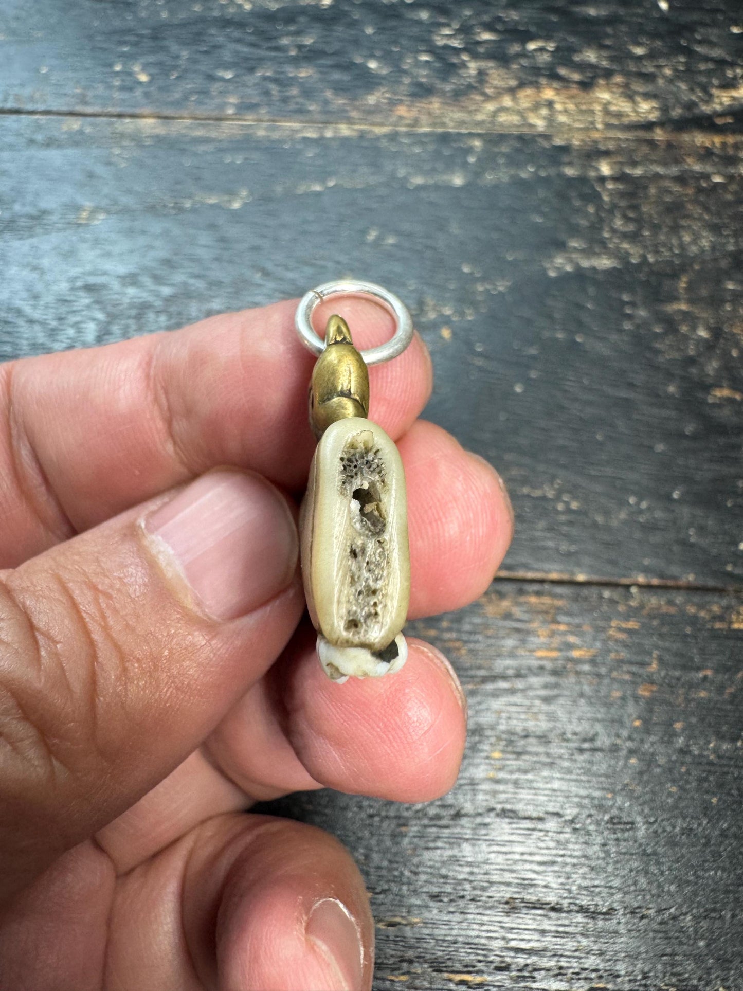 Vintage Himalayan Tooth Pendant, Brass Mounted Natural Tooth Amulet, Tribal Protection Charm, Nepal Folk Art Talisman, Ethnographic Jewelry