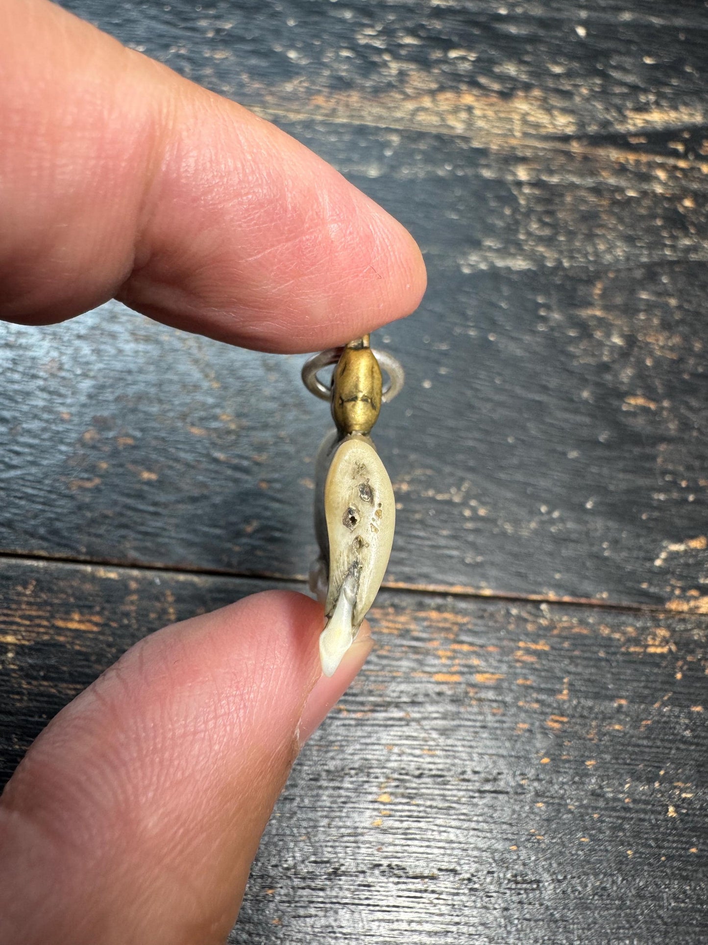 Vintage Himalayan Tooth Pendant, Brass Mounted Natural Tooth Amulet, Tribal Protection Charm, Nepal Folk Art Talisman, Ethnographic Jewelry