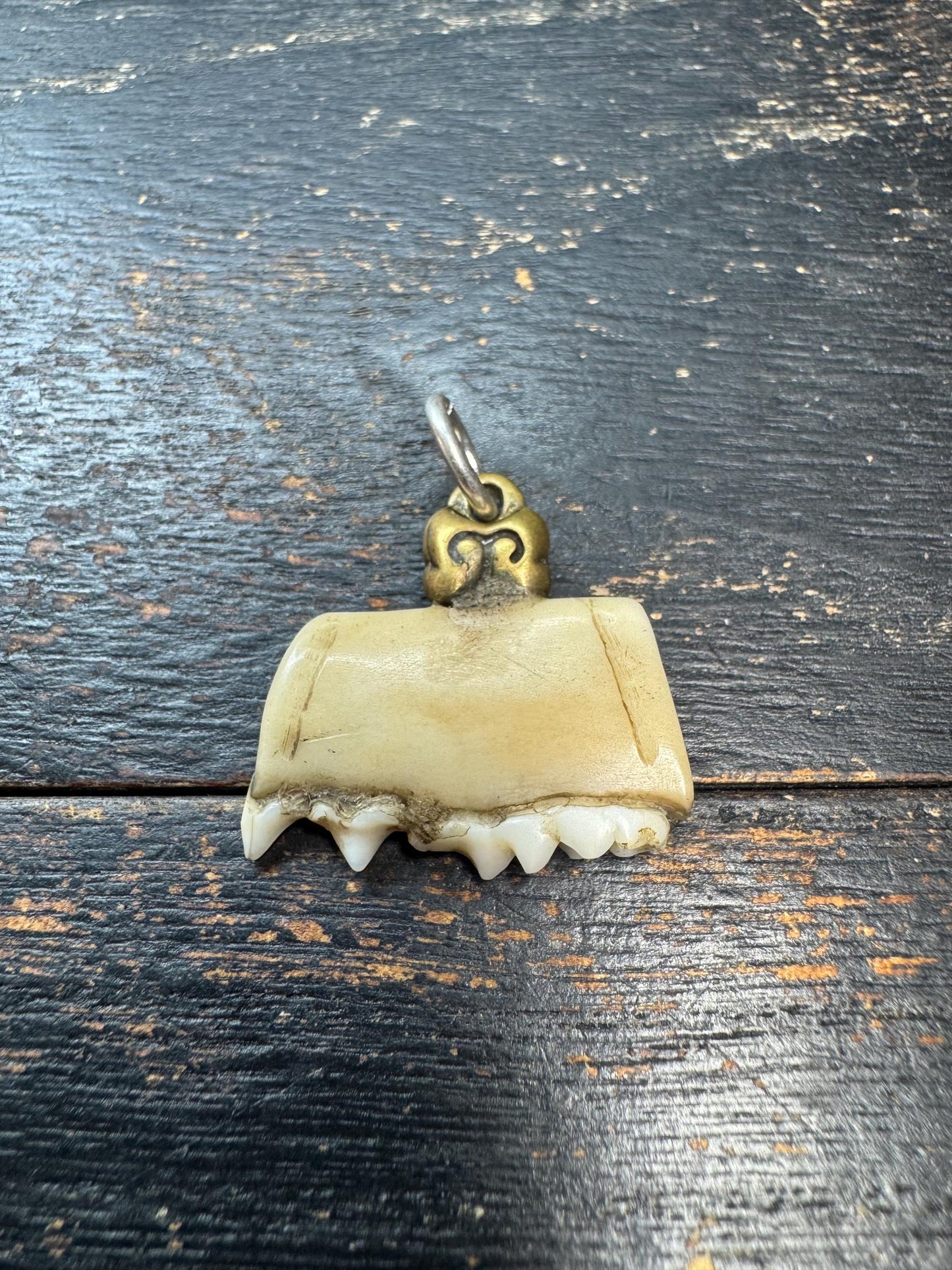 Vintage Himalayan Tooth Pendant, Brass Mounted Natural Tooth Amulet, Tribal Protection Charm, Nepal Folk Art Talisman, Ethnographic Jewelry