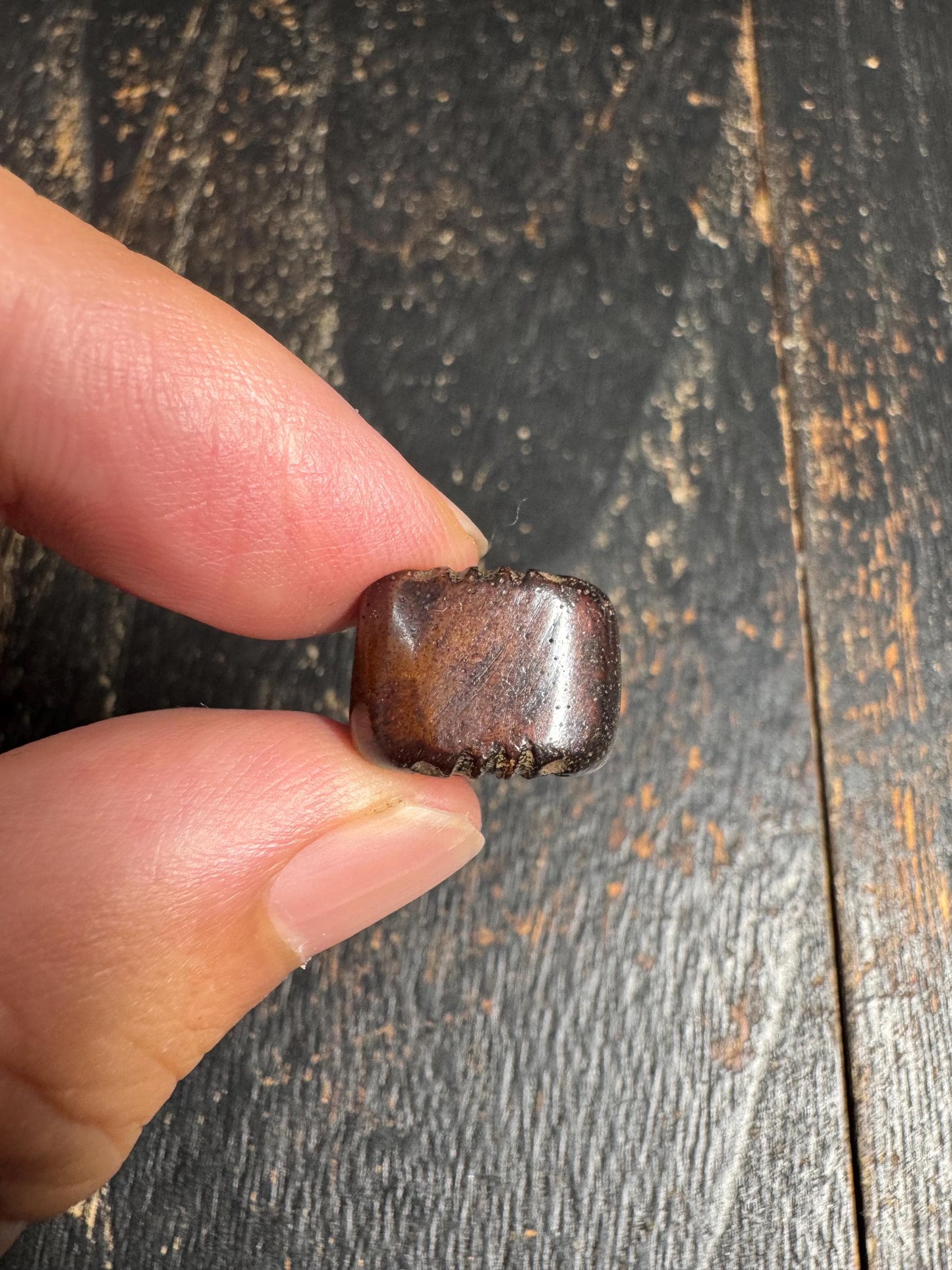 Vintage Hand-Carved Yak Bone Guru Bead with Mantra Motif | Tibetan Three-Hole Guru Bead for Mala Necklace | Replacement Center Bead(H725)