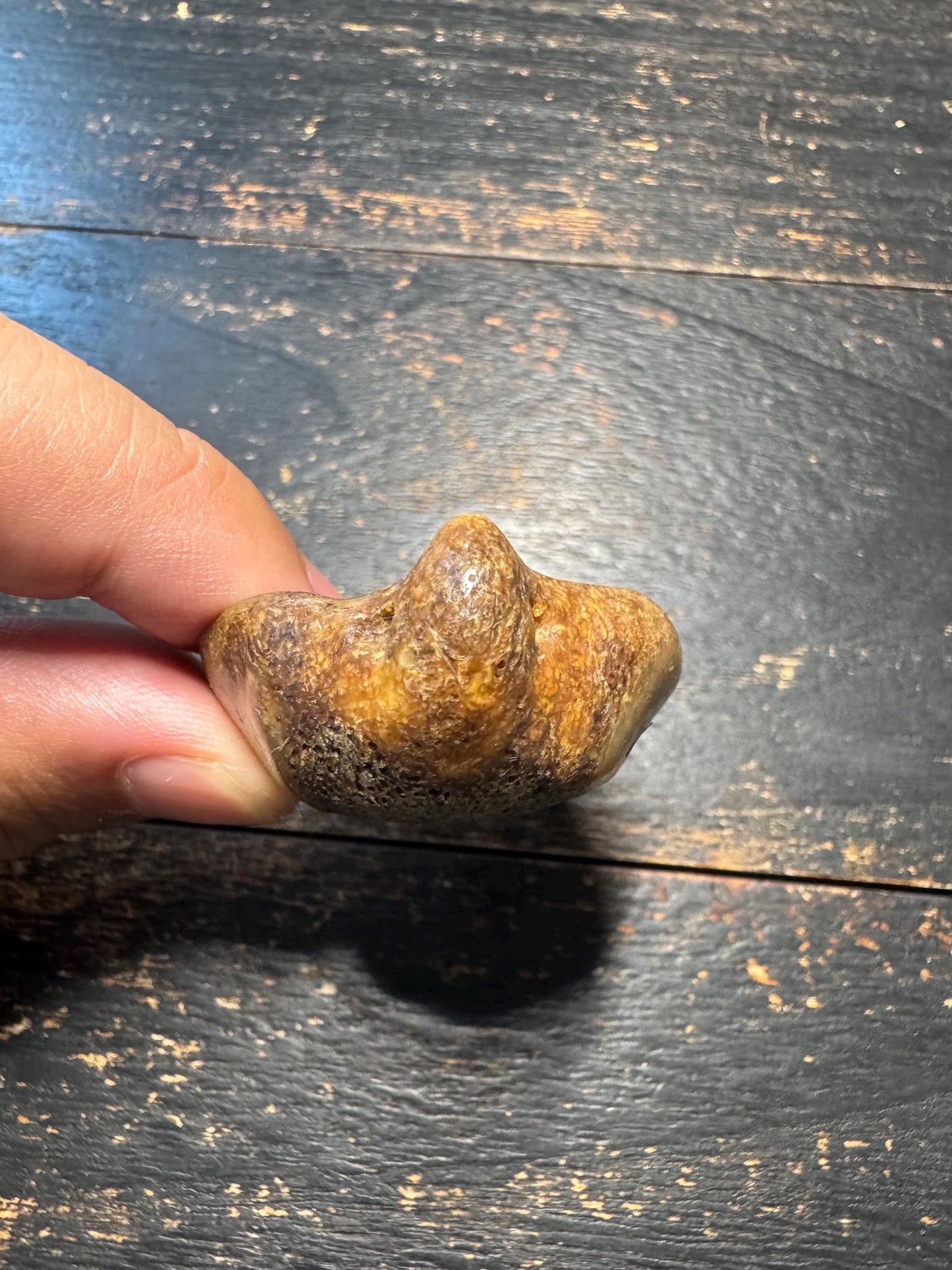 Vintage Tibetan Yak Bone Charnel Ground Skull Pendant –Hand-Carved OM Amulet,Himalayan Buddhist Meditation Talisman, One-of-a-Kind Mala(H777