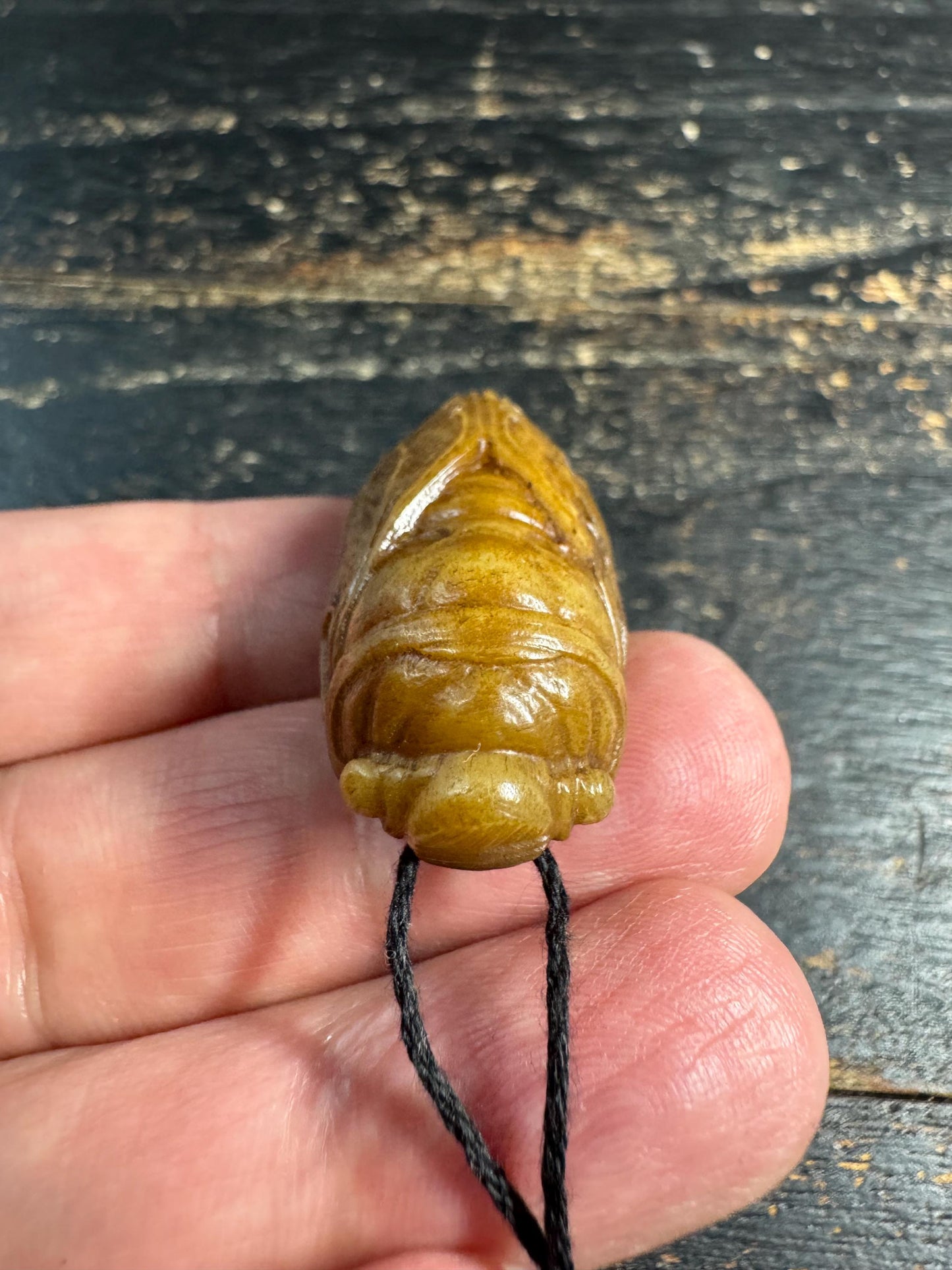 Hand Carved Yak Bone Cicada Pendant, Tibetan Style Insect Amulet, Rebirth Symbol Talisman, Unique Boho Spiritual Jewelry(H758)
