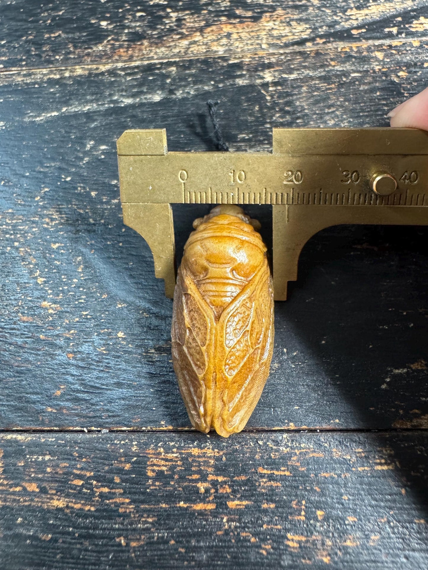Hand Carved Yak Bone Cicada Pendant, Tibetan Style Insect Amulet, Rebirth Symbol Talisman, Unique Boho Spiritual Jewelry(H758)