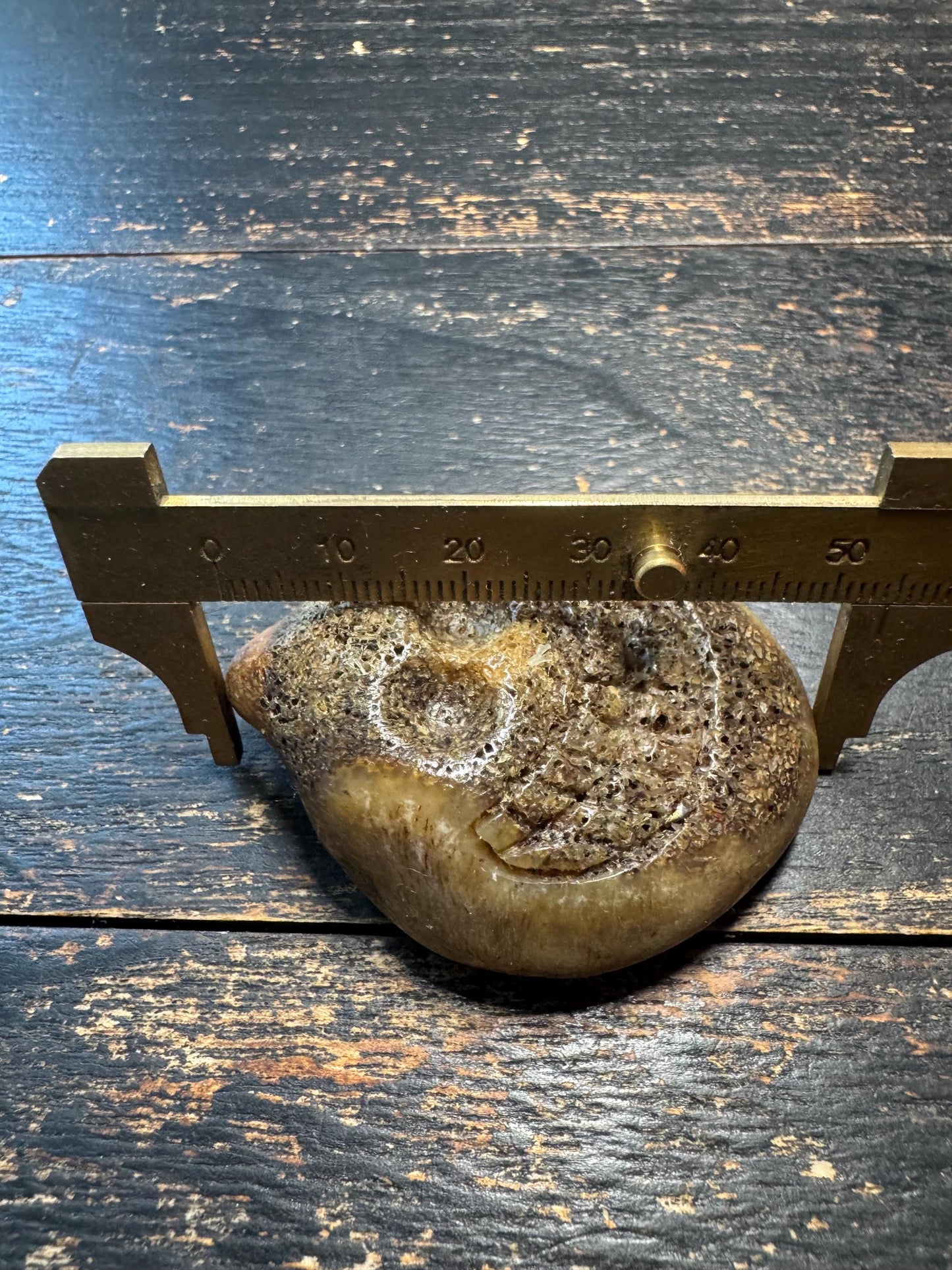 Vintage Tibetan Yak Bone Charnel Ground Skull Pendant –Hand-Carved OM Amulet,Himalayan Buddhist Meditation Talisman, One-of-a-Kind Mala(H777