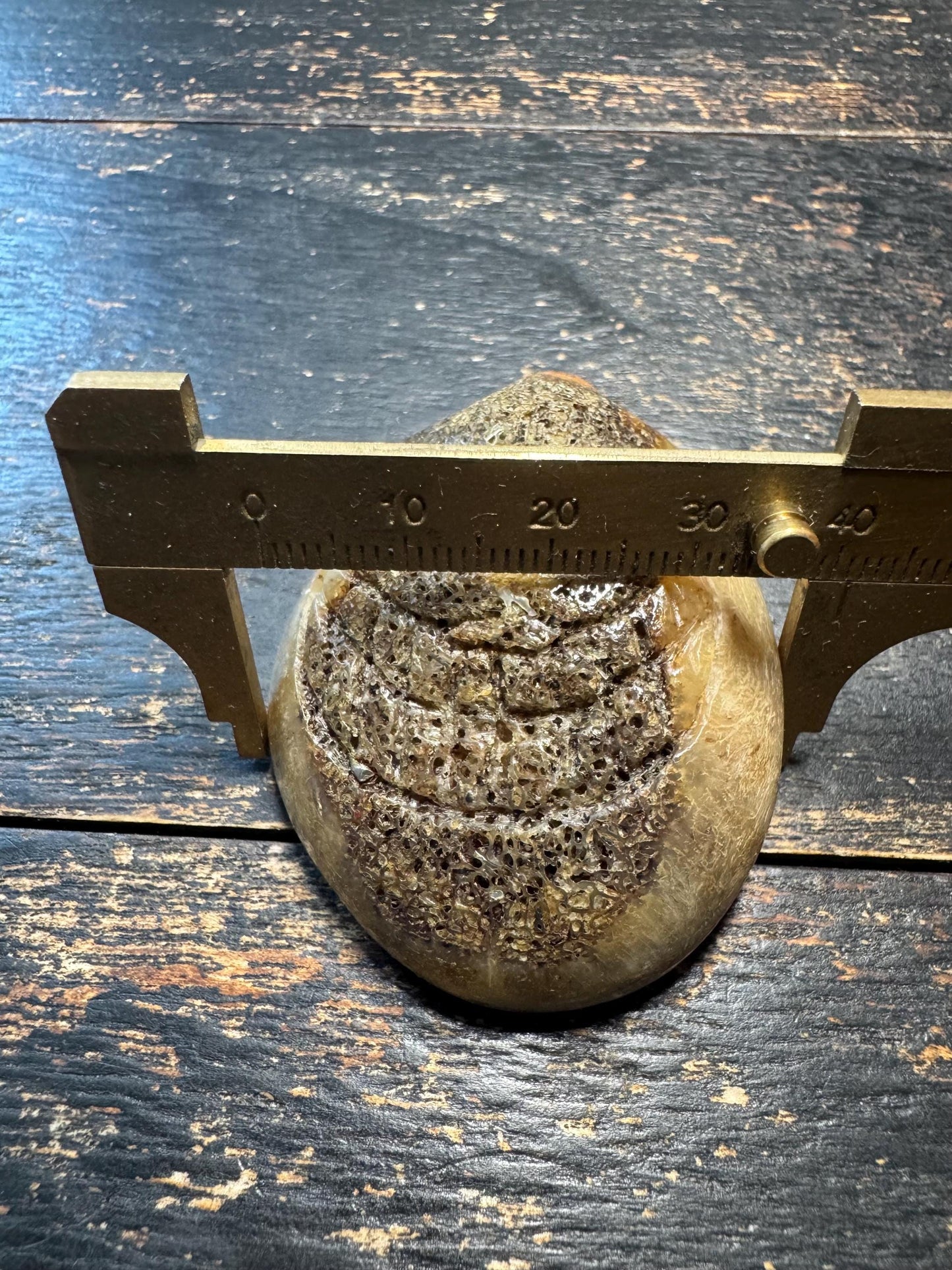 Vintage Tibetan Yak Bone Charnel Ground Skull Pendant –Hand-Carved OM Amulet,Himalayan Buddhist Meditation Talisman, One-of-a-Kind Mala(H777