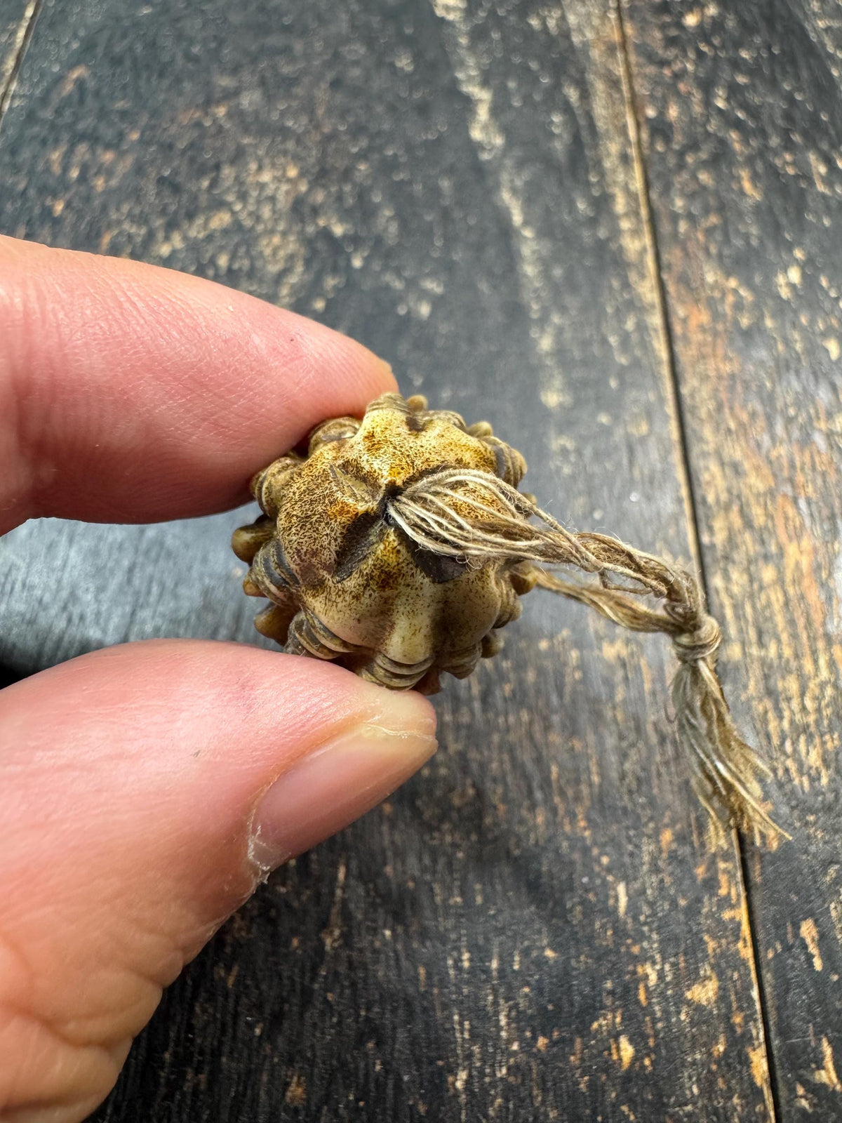 Carved Deer Antler Devouring Bead | Tibetan Style Fierce Pendant | Handmade Himalayan Guru Bead | Mala Focal Bead | Protective Amulet(H971)