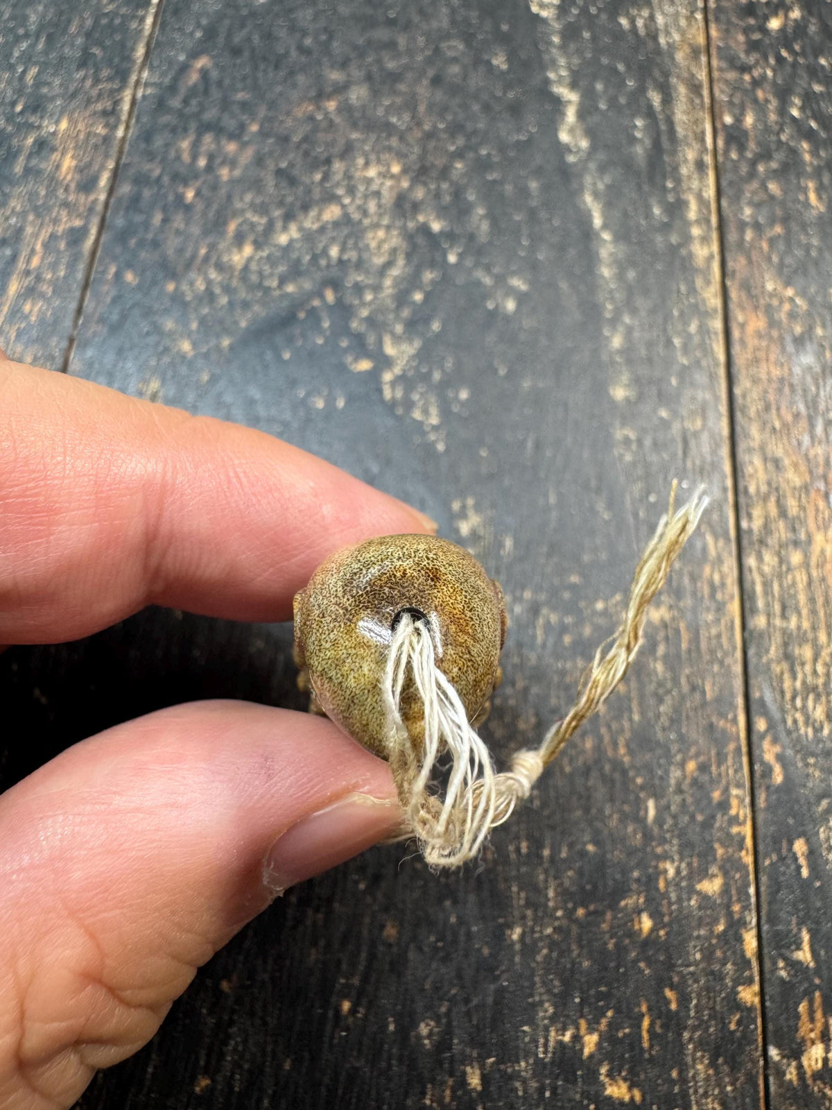 Hand Carved Deer Antler Bodhidharma Bead | Daruma Patriarch Pendant | Tibetan Buddhist Guru Bead | Himalayan Mala Focal Bead (H971)